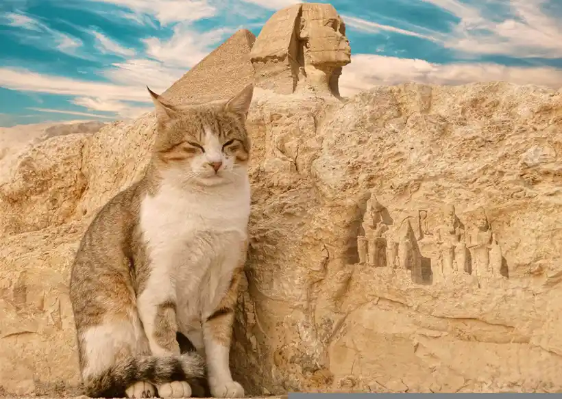 Facts About Cats - Egyptians worshipped cats