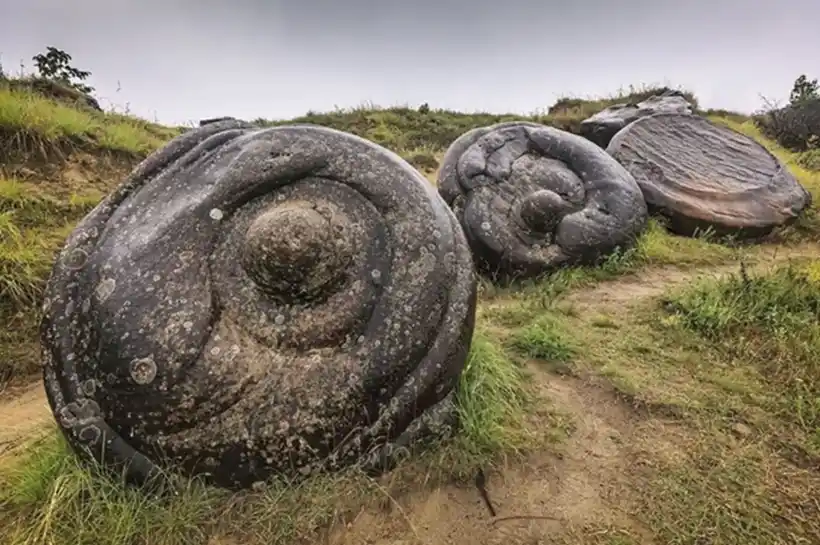 The Mysterious Living Stones
