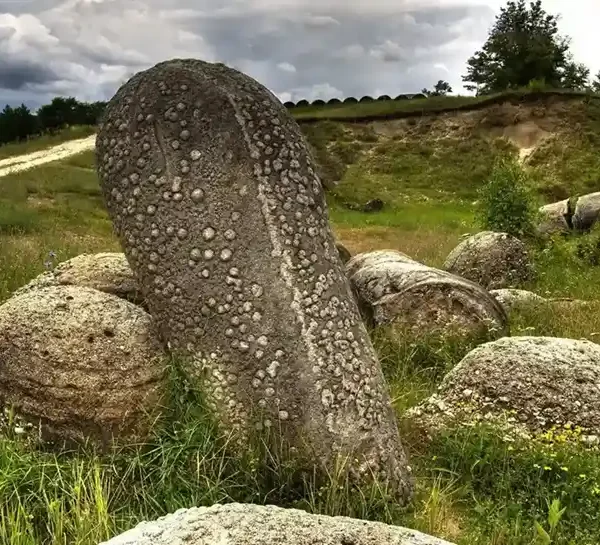 The Mysterious Living Stones