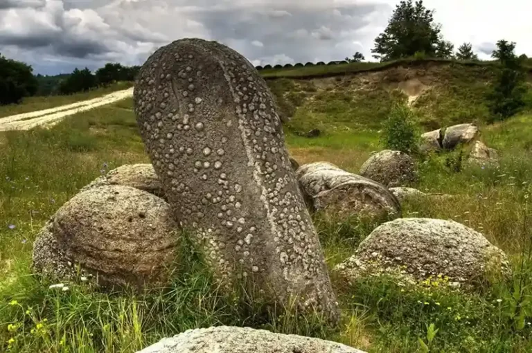 The Mysterious Living Stones