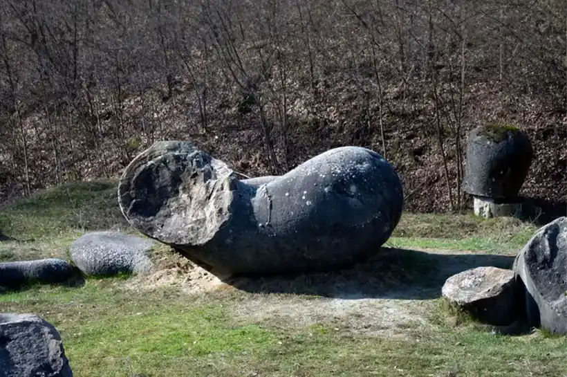 The Mysterious Living Stones