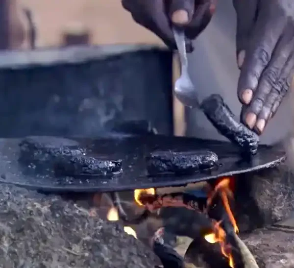 Mosquito Burgers: A Rare Delicacy in Africa?!