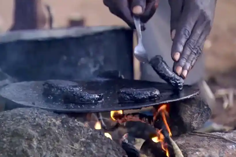 Mosquito Burgers: A Rare Delicacy in Africa?!