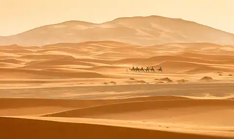 The Sahara Desert spans over 3.5 million square miles—an expanse comparable to China or the USA.